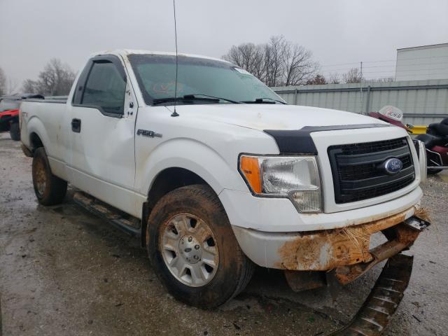 Photo 0 VIN: 1FTMF1CM5DKE43114 - FORD F150 