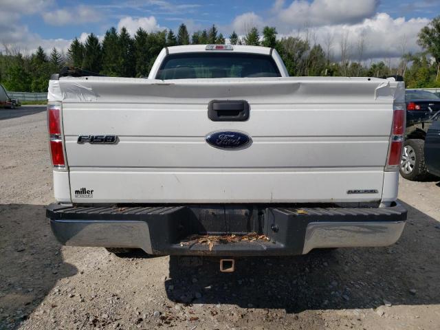 Photo 5 VIN: 1FTMF1CM6EKD08628 - FORD F150 