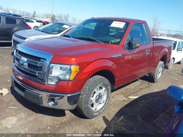 Photo 1 VIN: 1FTMF1CM6EKE36691 - FORD F-150 