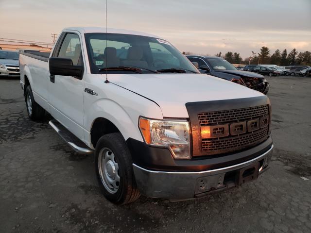 Photo 0 VIN: 1FTMF1CM7DKG15384 - FORD F150 