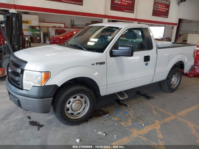 Photo 1 VIN: 1FTMF1CM8EKG53448 - FORD F-150 