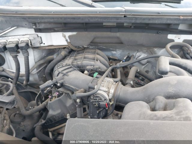 Photo 9 VIN: 1FTMF1CM8EKG53448 - FORD F-150 