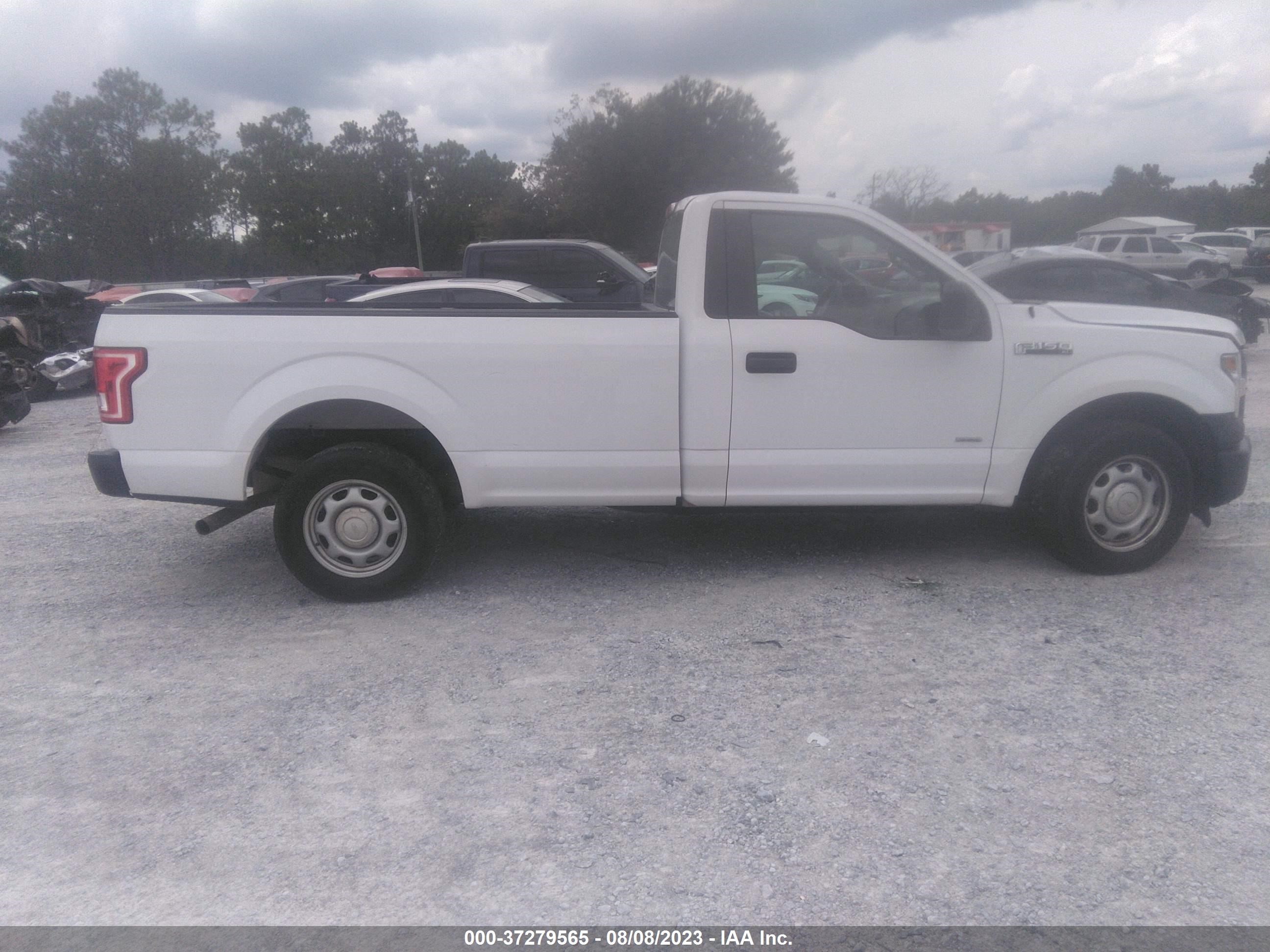 Photo 12 VIN: 1FTMF1CP9GKD91470 - FORD F-150 