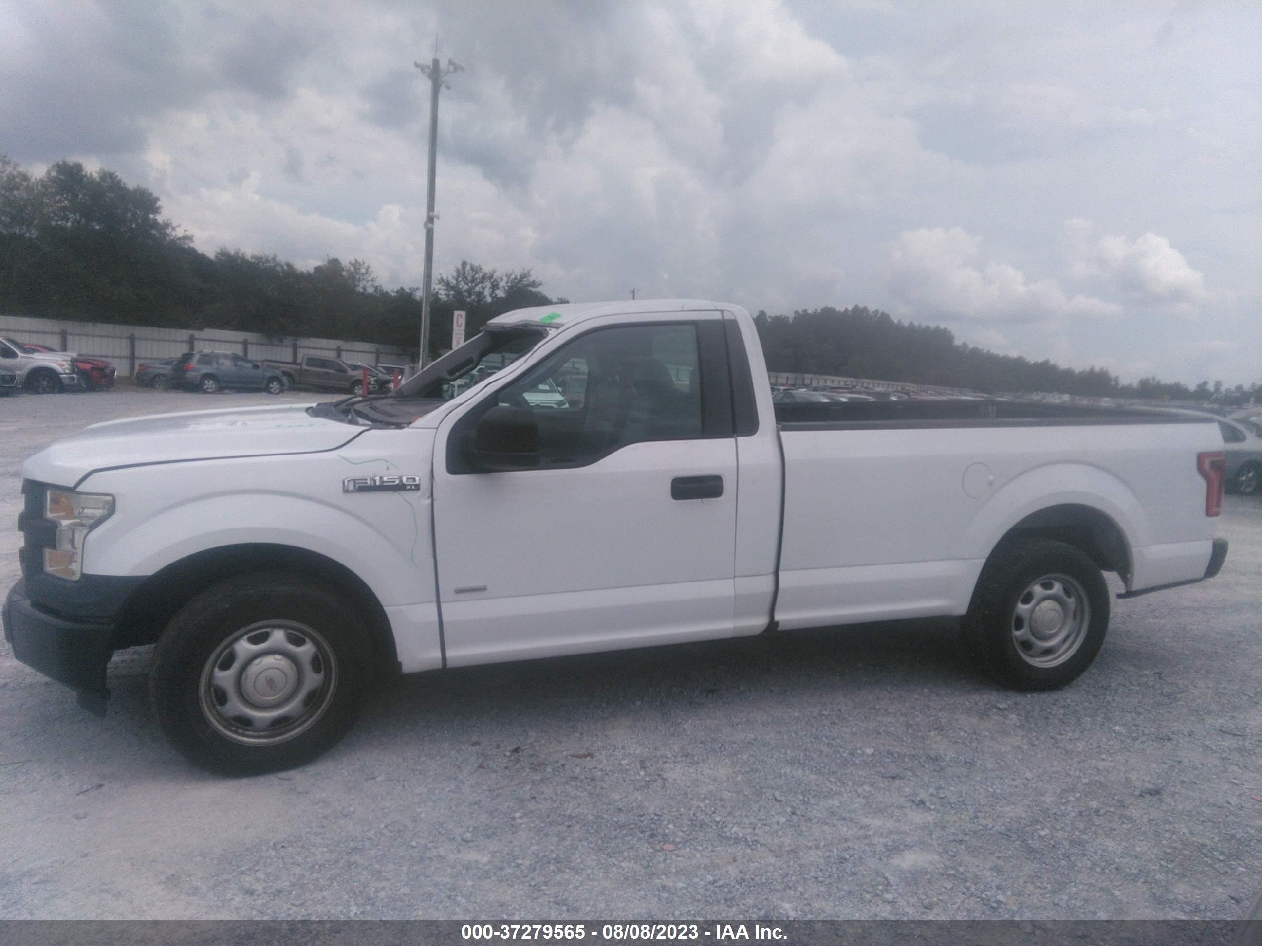 Photo 13 VIN: 1FTMF1CP9GKD91470 - FORD F-150 