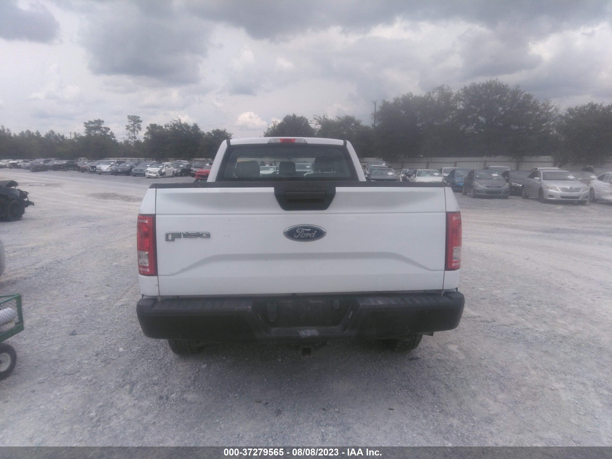 Photo 15 VIN: 1FTMF1CP9GKD91470 - FORD F-150 