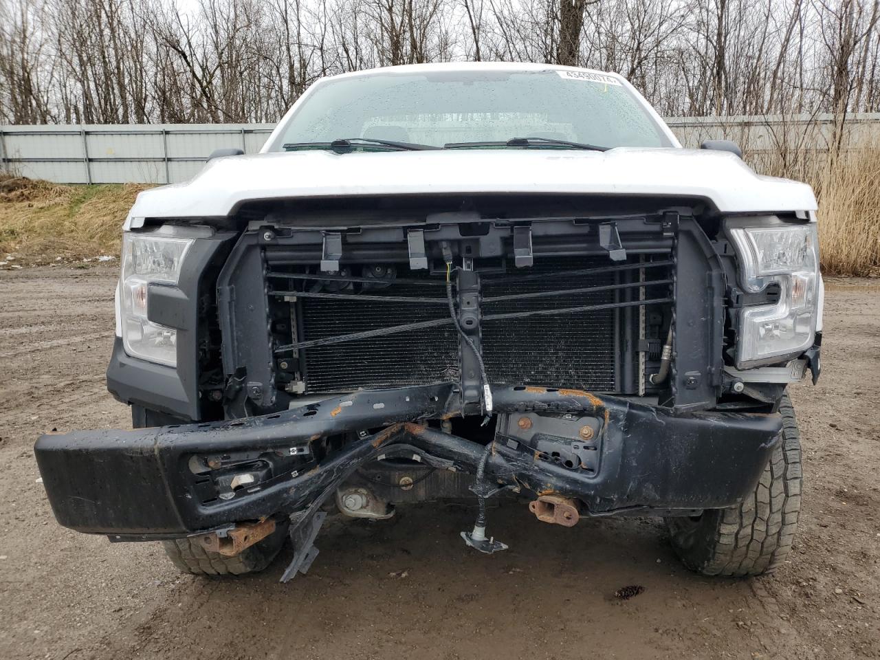 Photo 4 VIN: 1FTMF1E81HKD81555 - FORD F-150 