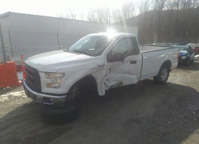 Photo 5 VIN: 1FTMF1E81HKD86156 - FORD F-150 