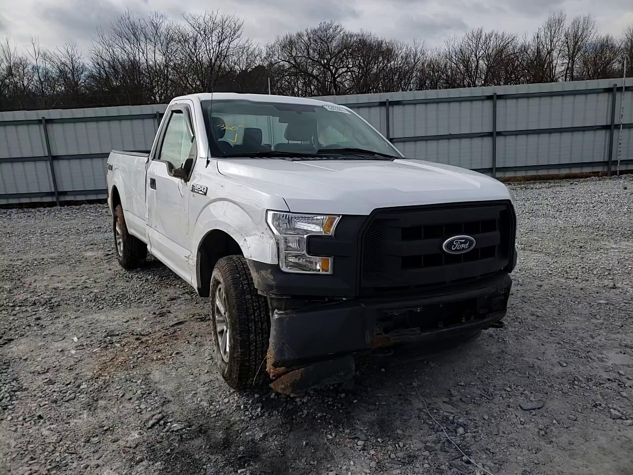 Photo 10 VIN: 1FTMF1E86GKE90589 - FORD F150 