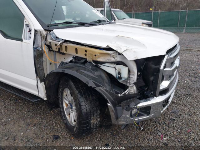 Photo 5 VIN: 1FTMF1E87GKF89230 - FORD F-150 