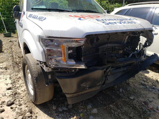 Photo 8 VIN: 1FTMF1EB1LKD76683 - FORD F150 