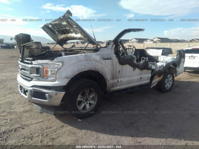 Photo 1 VIN: 1FTMF1EB4JKC15158 - FORD F-150 