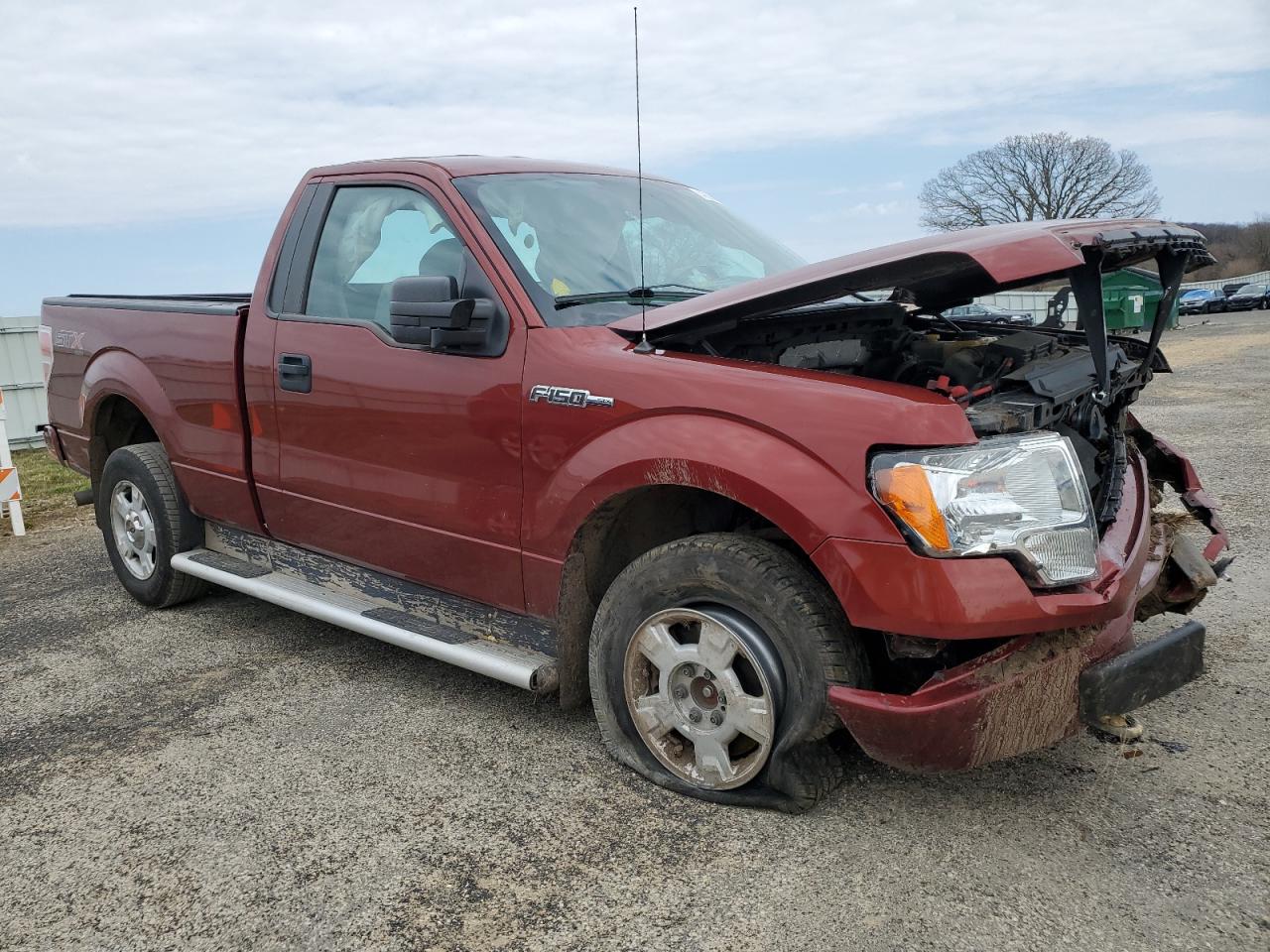 Photo 3 VIN: 1FTMF1EF7EKE84019 - FORD F-150 