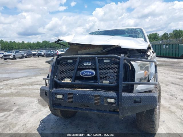 Photo 5 VIN: 1FTMF1EF9GFB94182 - FORD F-150 