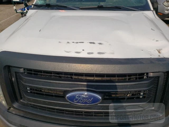 Photo 10 VIN: 1FTMF1EM6EFB75441 - FORD F-150 