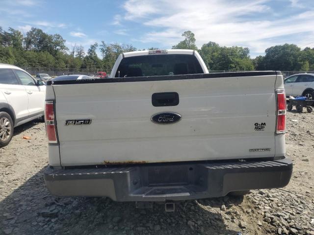 Photo 5 VIN: 1FTMF1EM8EKE42764 - FORD F150 