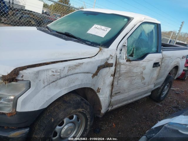 Photo 5 VIN: 1FTMF1EP4FKD06093 - FORD F-150 