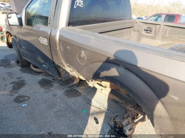 Photo 5 VIN: 1FTMF1EP6FFB49000 - FORD F-150 