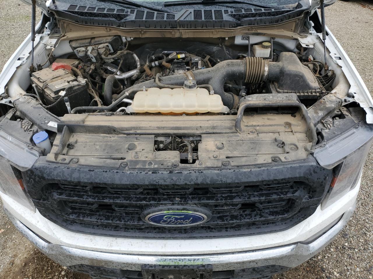 Photo 10 VIN: 1FTMF1EP6PKD98342 - FORD F-150 