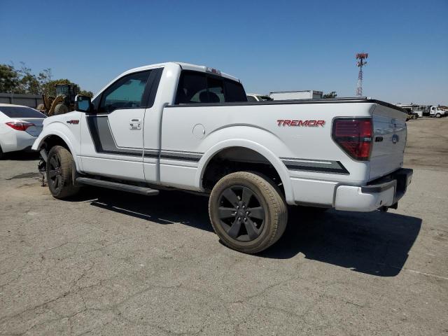 Photo 1 VIN: 1FTMF1ET6EFA14823 - FORD F150 