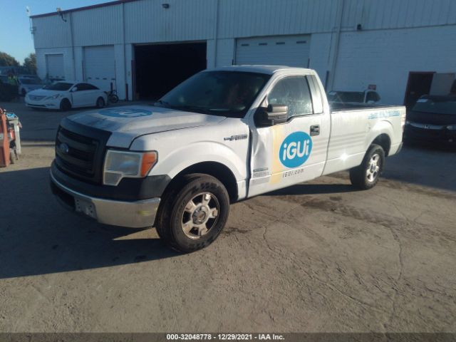 Photo 1 VIN: 1FTNF1CT6DKF54637 - FORD F-150 