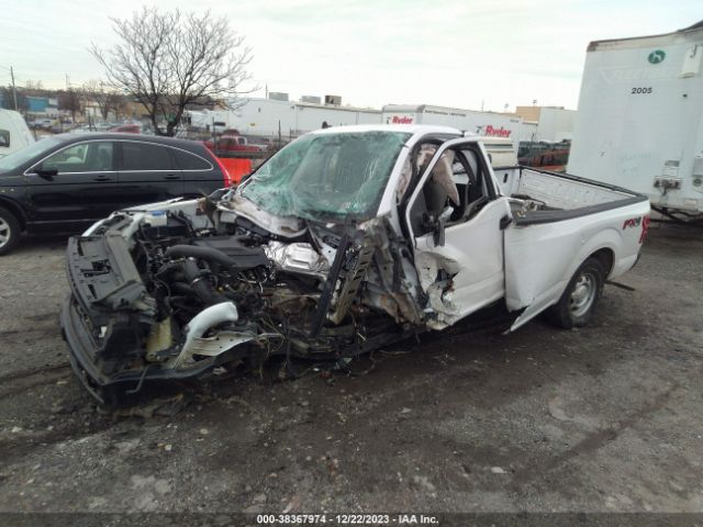 Photo 1 VIN: 1FTNF1E44LKD86548 - FORD F-150 