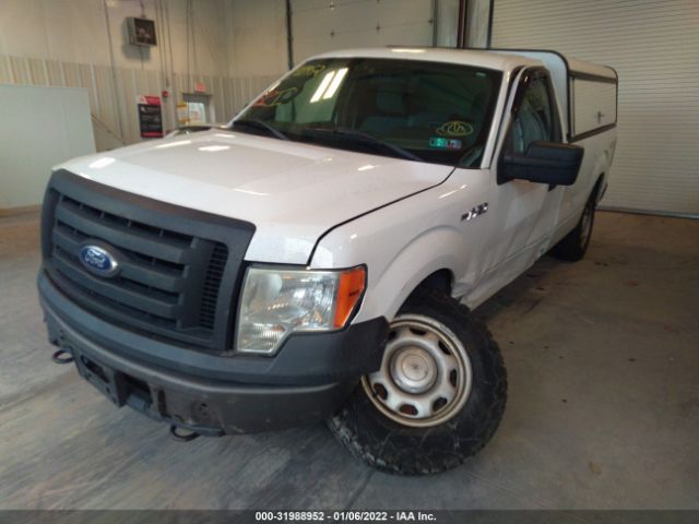 Photo 1 VIN: 1FTPF1EF5BKD95249 - FORD F-150 