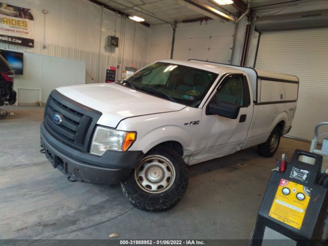 Photo 5 VIN: 1FTPF1EF5BKD95249 - FORD F-150 