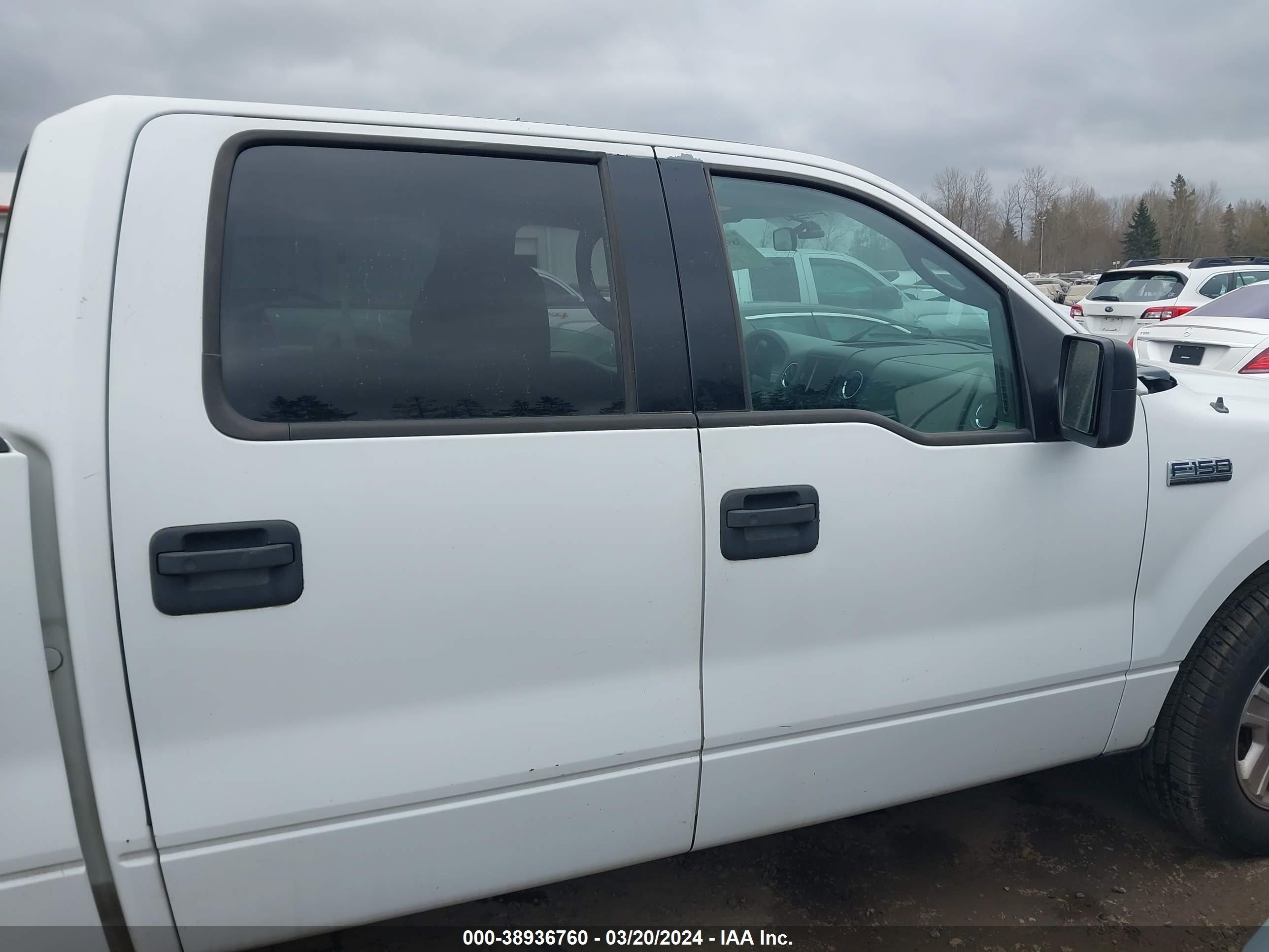 Photo 12 VIN: 1FTPW12554KA94804 - FORD F-150 