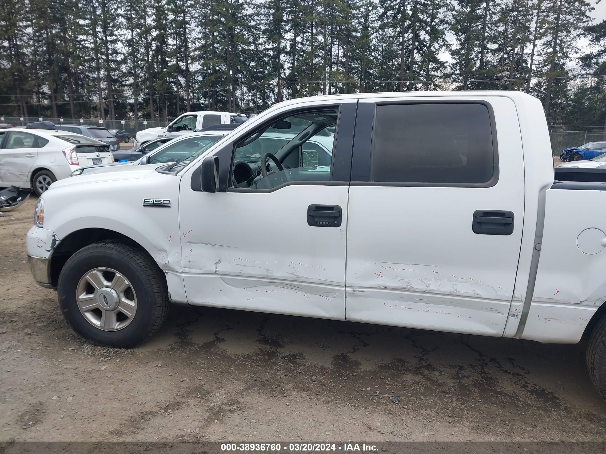 Photo 5 VIN: 1FTPW12554KA94804 - FORD F-150 