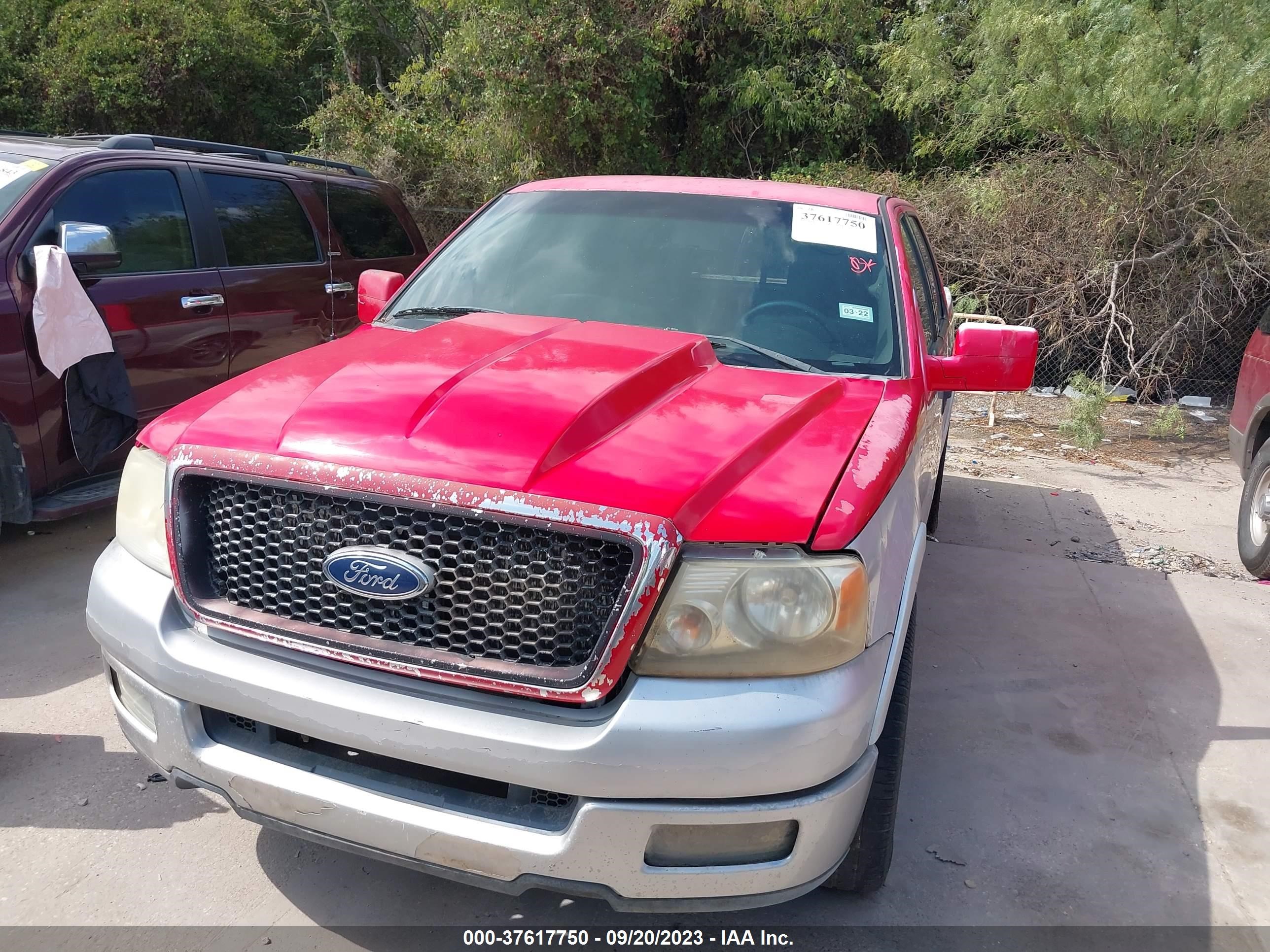 Photo 5 VIN: 1FTPW12584KD27395 - FORD F-150 