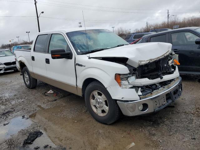 Photo 3 VIN: 1FTPW12V19FA13863 - FORD F-150 