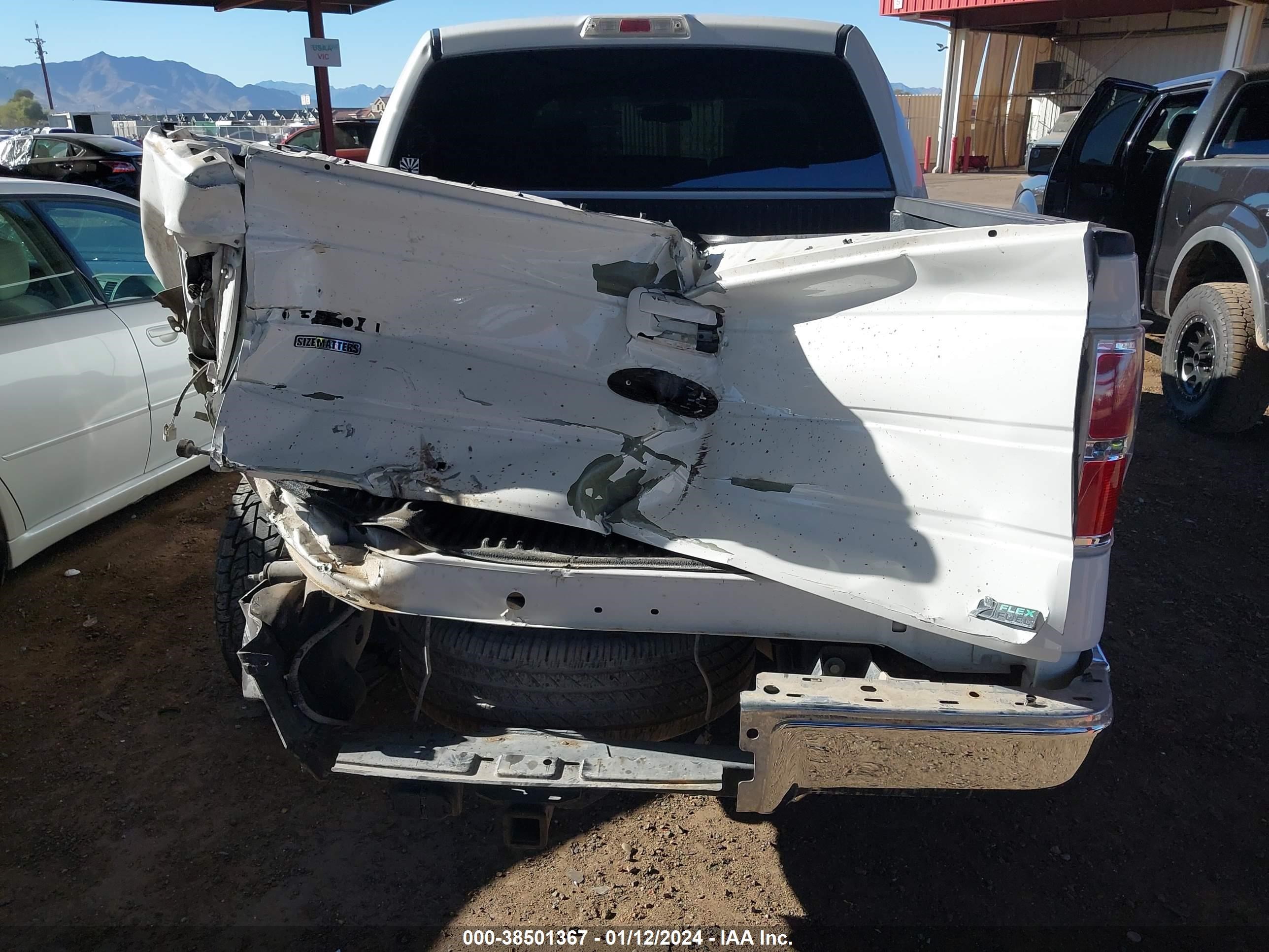 Photo 16 VIN: 1FTPW12V79FB11571 - FORD F-150 