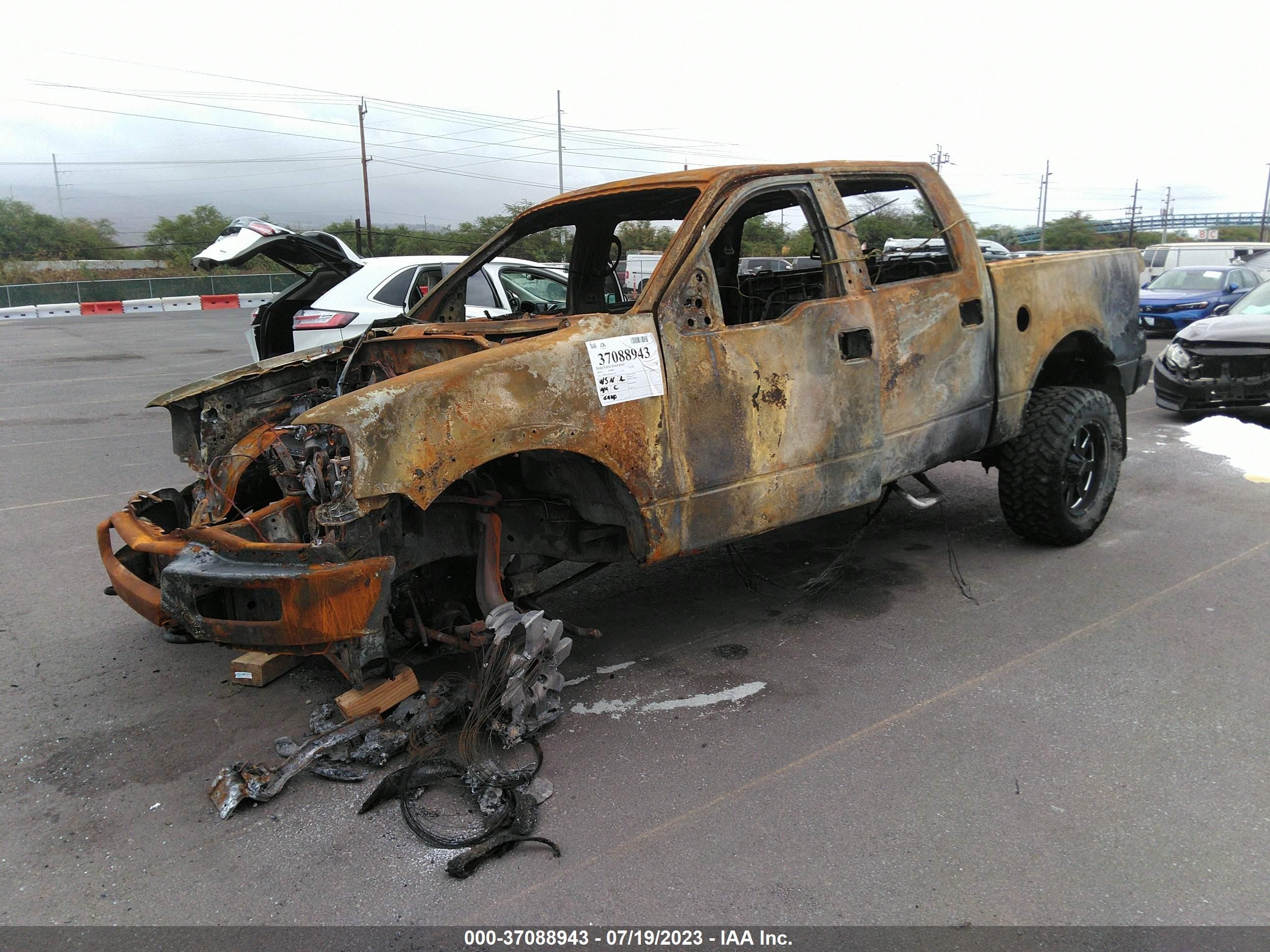 Photo 1 VIN: 1FTPW14505FA31519 - FORD F-150 