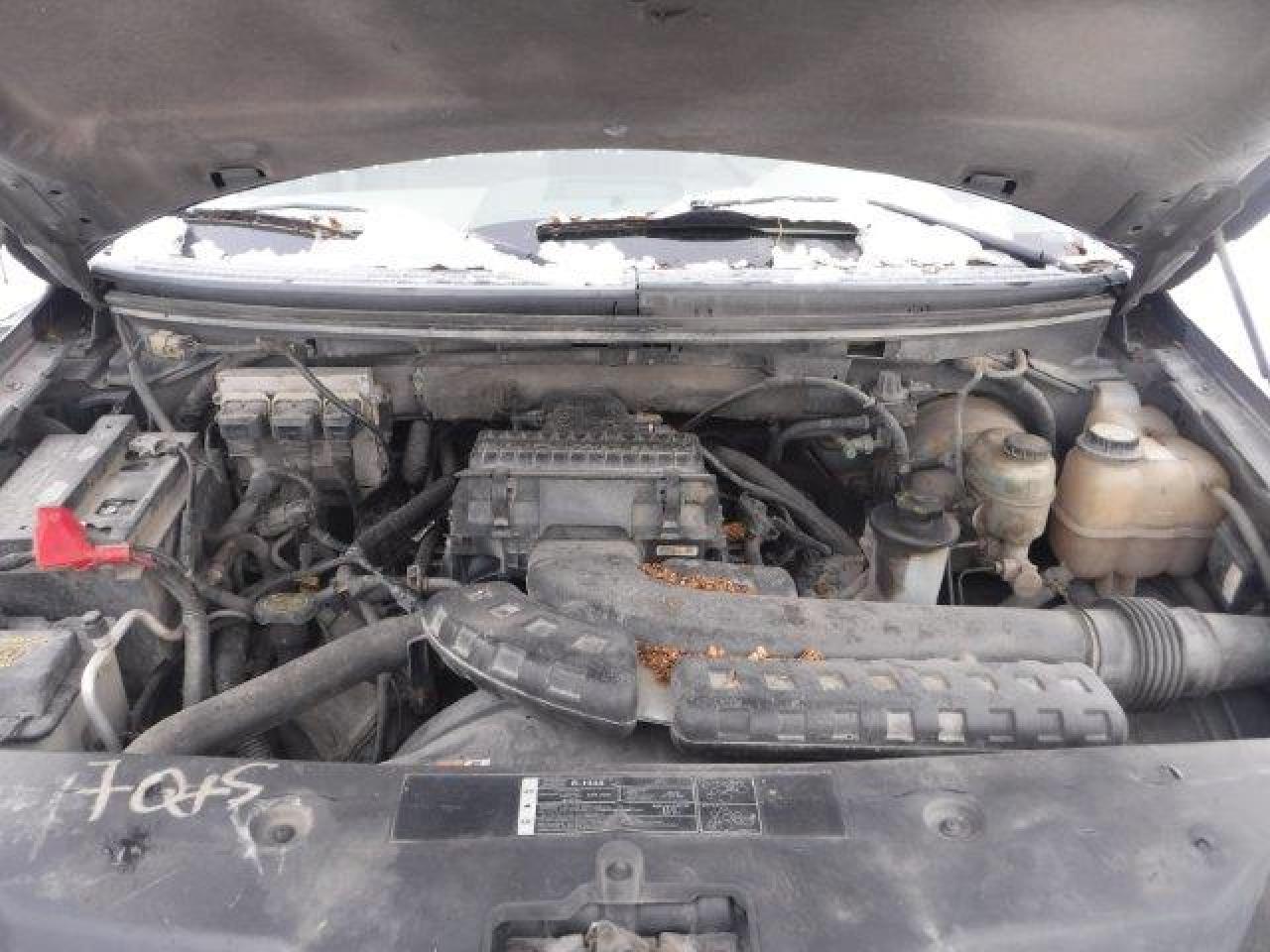 Photo 10 VIN: 1FTPW14505KE79735 - FORD F-150 