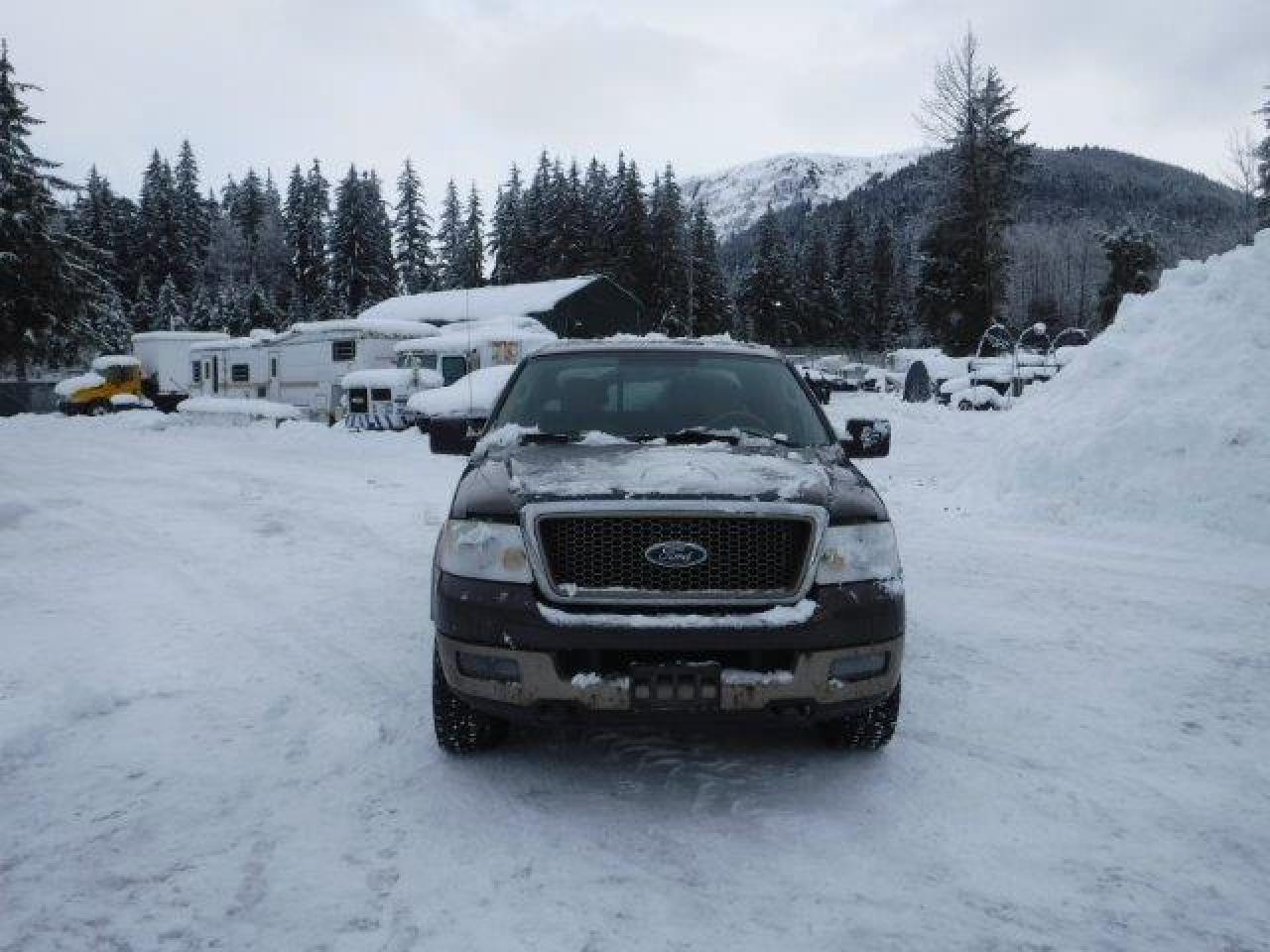 Photo 4 VIN: 1FTPW14505KE79735 - FORD F-150 