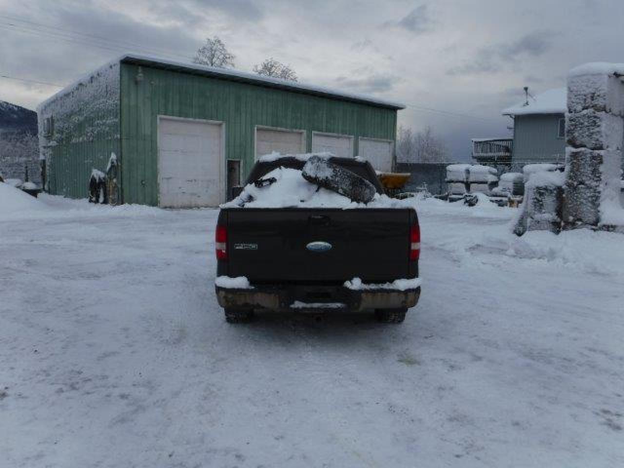 Photo 5 VIN: 1FTPW14505KE79735 - FORD F-150 