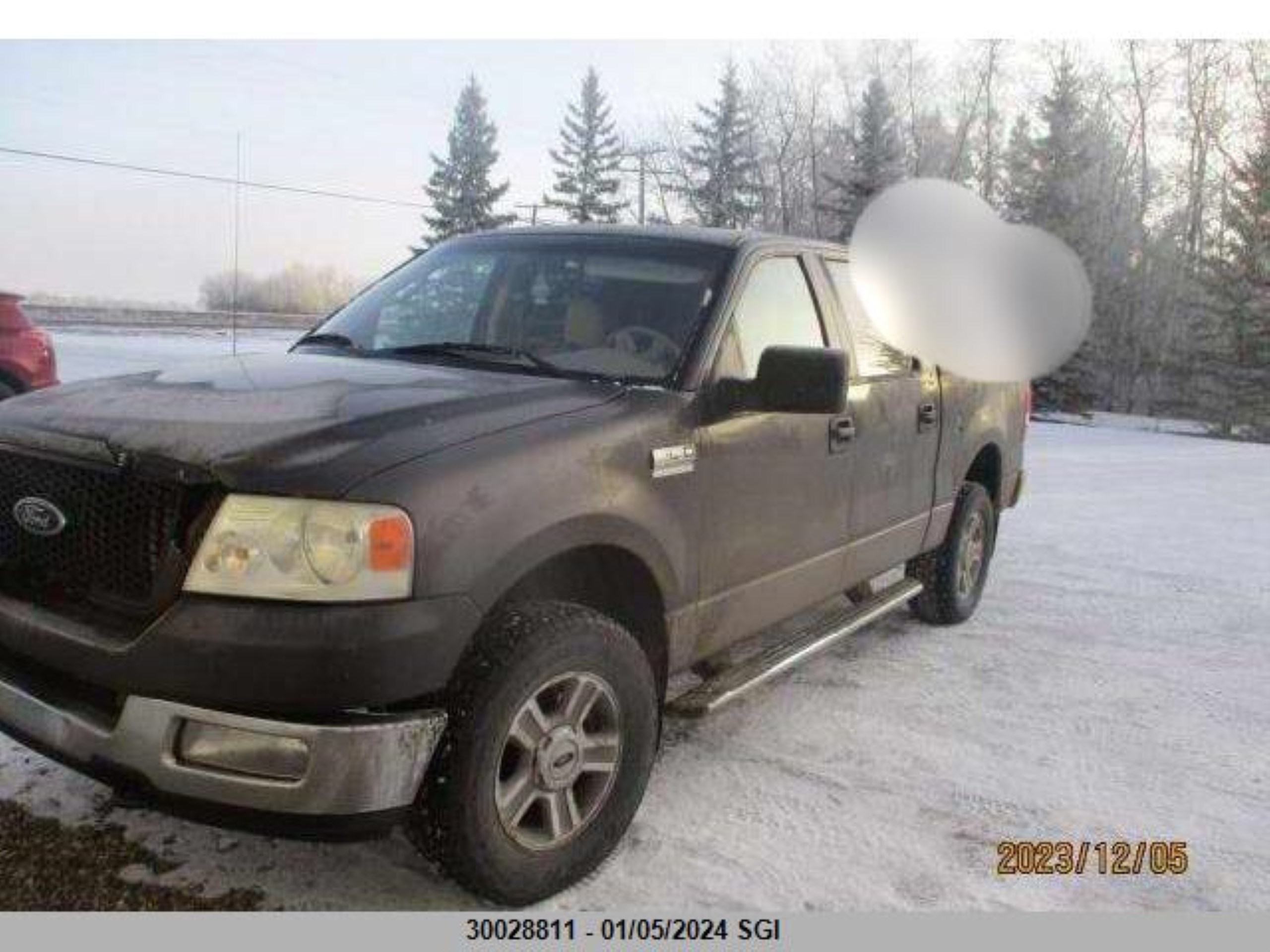 Photo 0 VIN: 1FTPW14545FB48603 - FORD F-150 