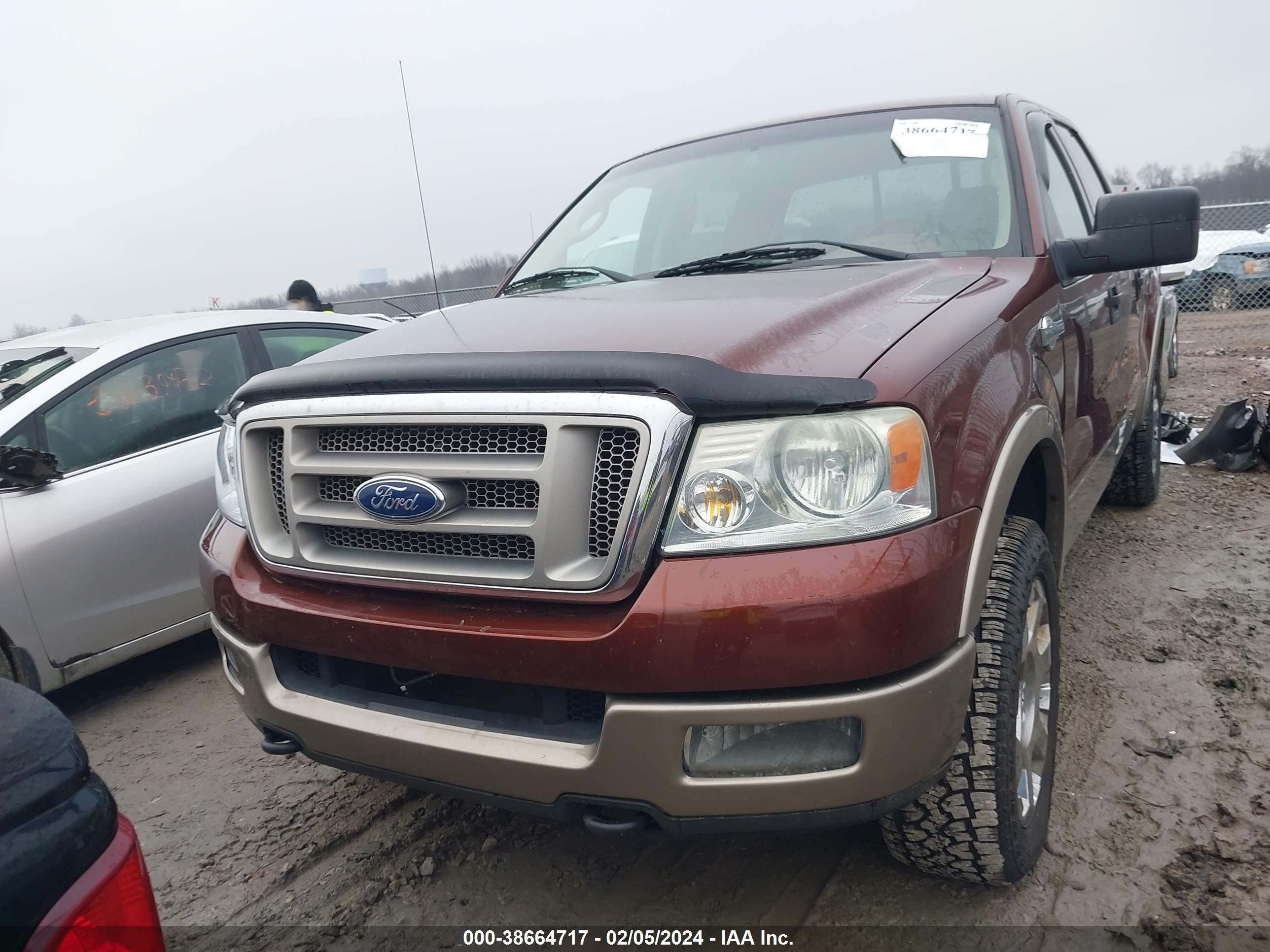 Photo 11 VIN: 1FTPW14565KE66617 - FORD F-150 