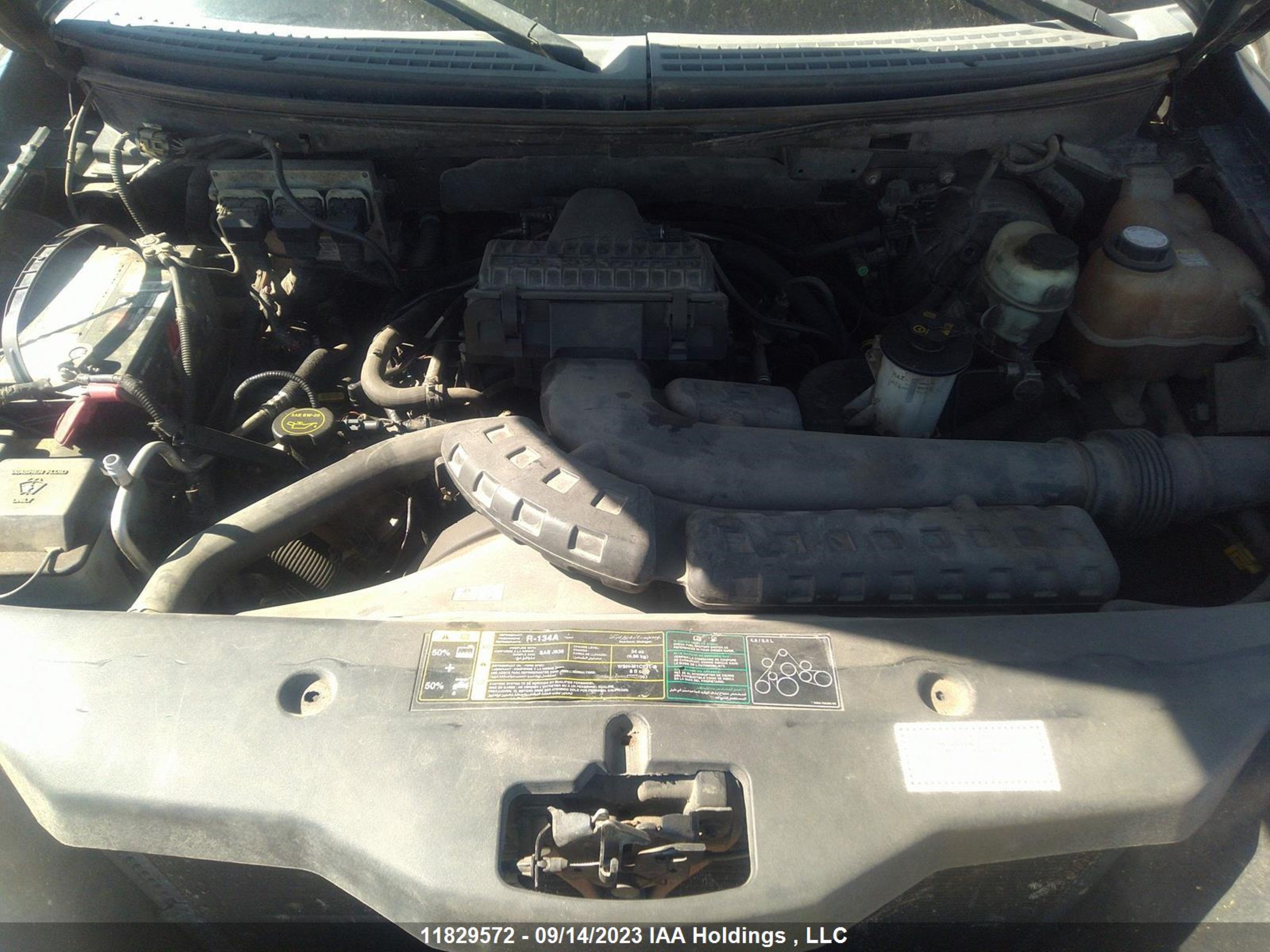 Photo 9 VIN: 1FTPW14594FA15317 - FORD F-150 