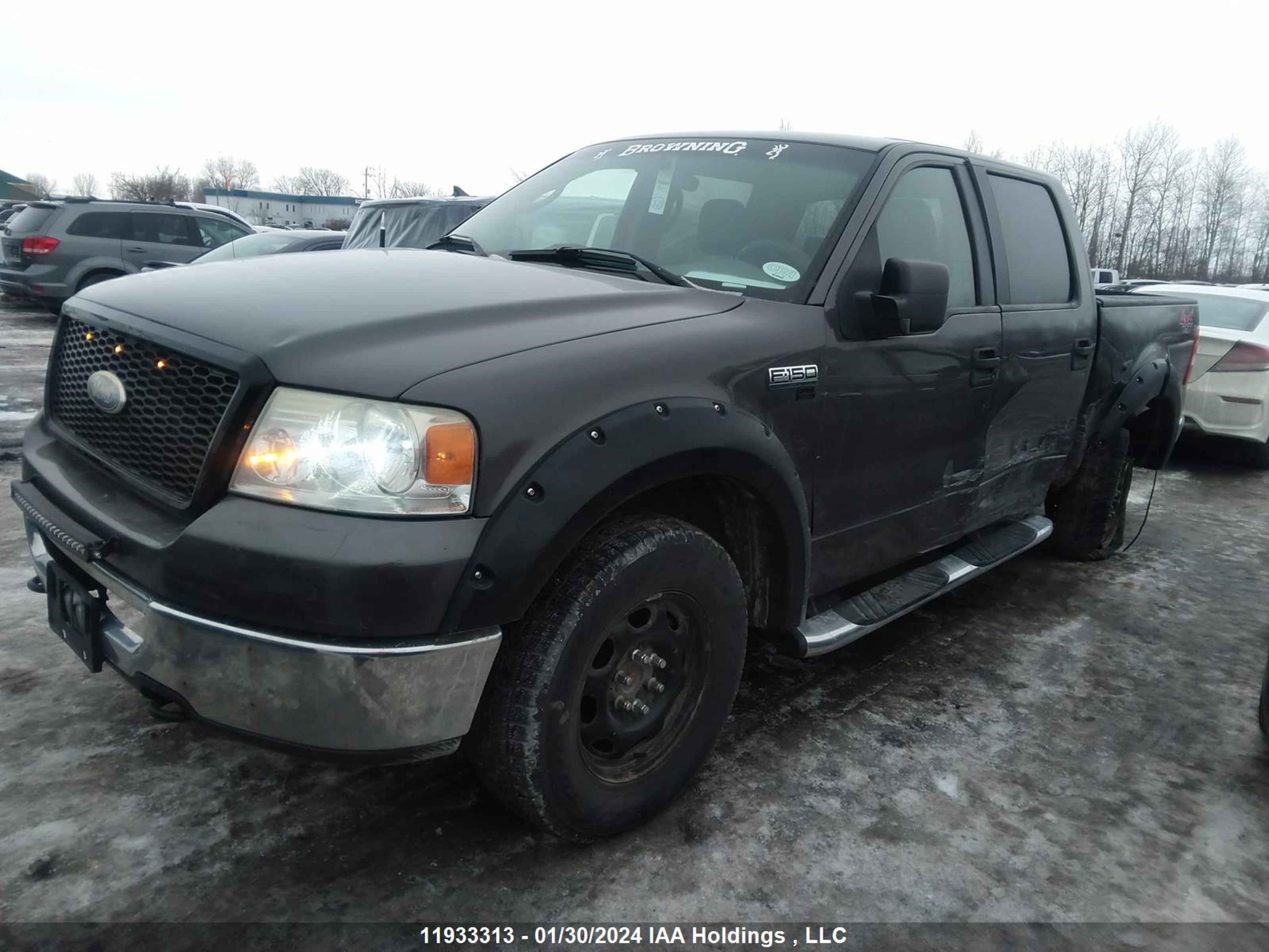 Photo 1 VIN: 1FTPW14596KD74807 - FORD F-150 