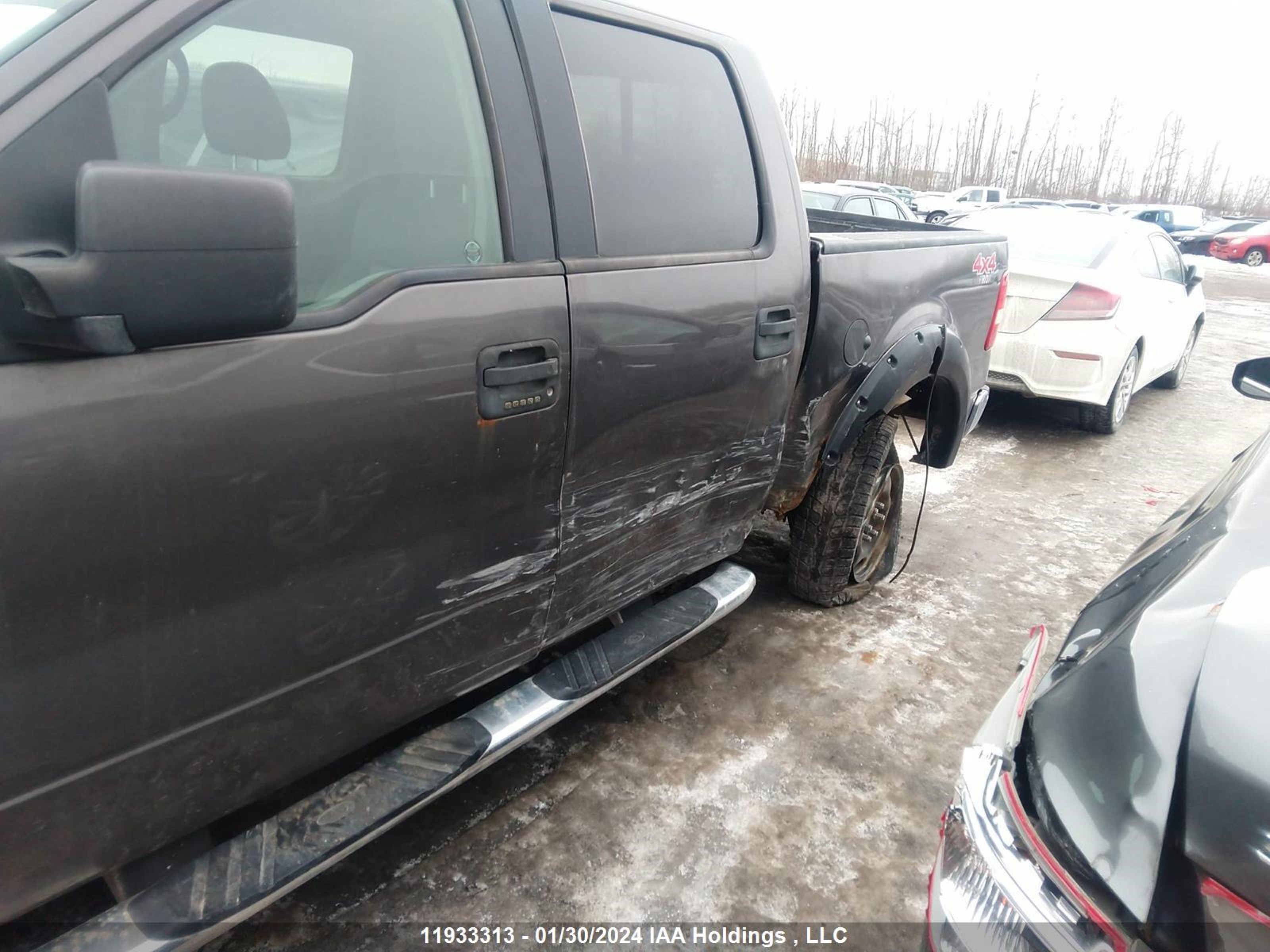 Photo 5 VIN: 1FTPW14596KD74807 - FORD F-150 