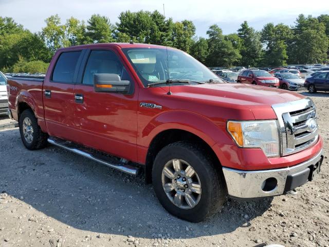 Photo 3 VIN: 1FTPW14V09FA86316 - FORD F150 SUPER 