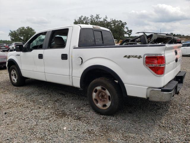 Photo 1 VIN: 1FTPW14V09FB01008 - FORD F150 SUPER 