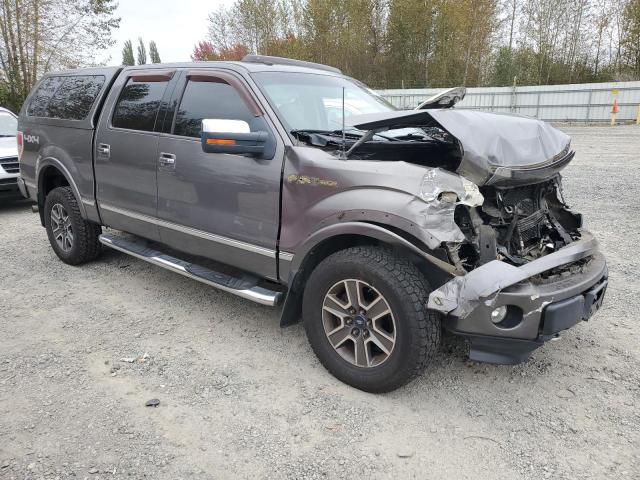 Photo 3 VIN: 1FTPW14V19FB08095 - FORD F150 SUPER 