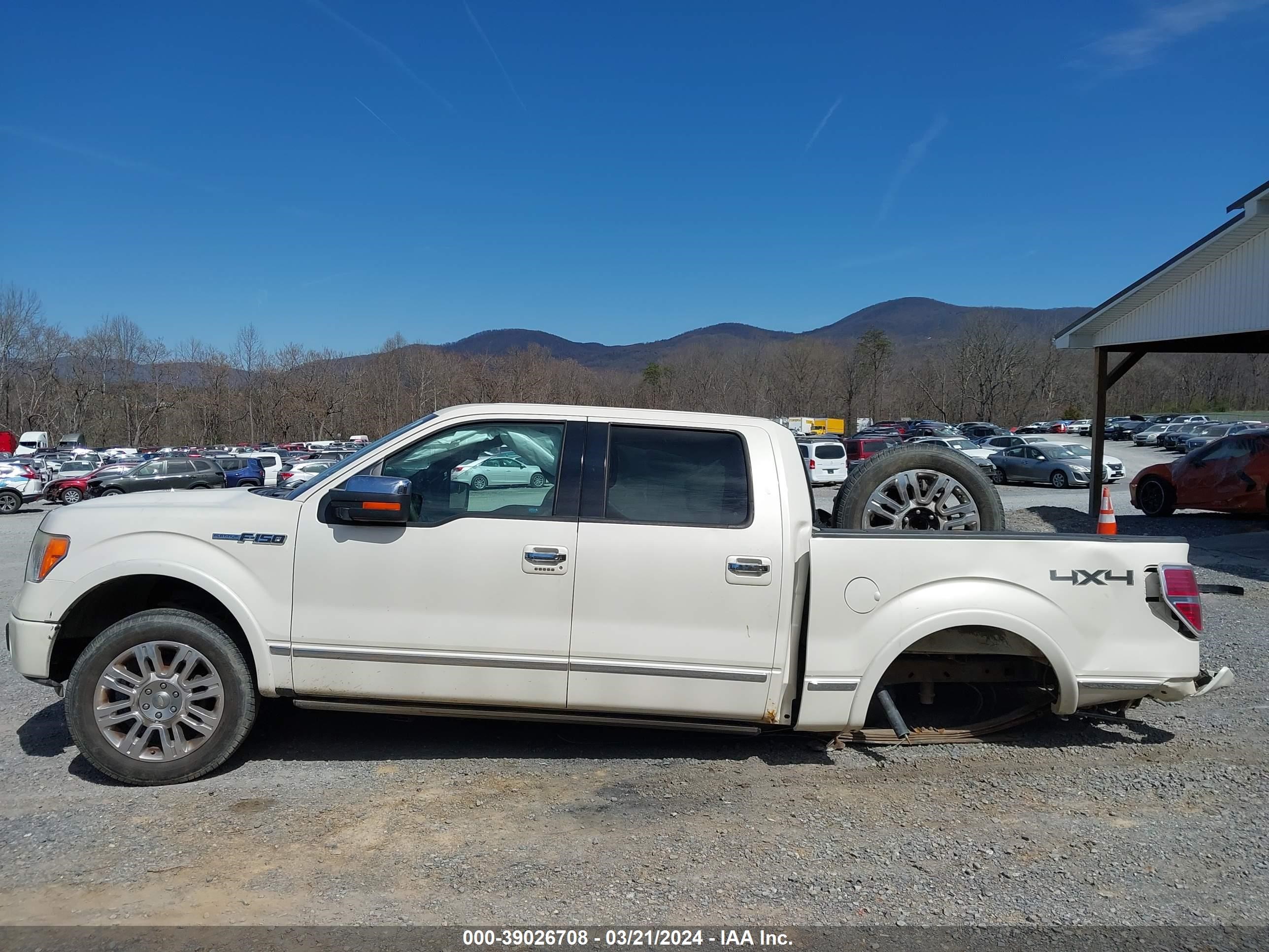 Photo 14 VIN: 1FTPW14V29FA83790 - FORD F-150 