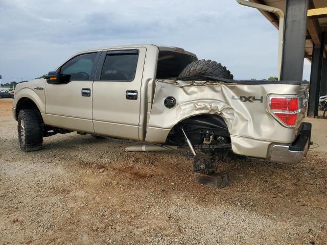 Photo 1 VIN: 1FTPW14V49FA52251 - FORD F-150 