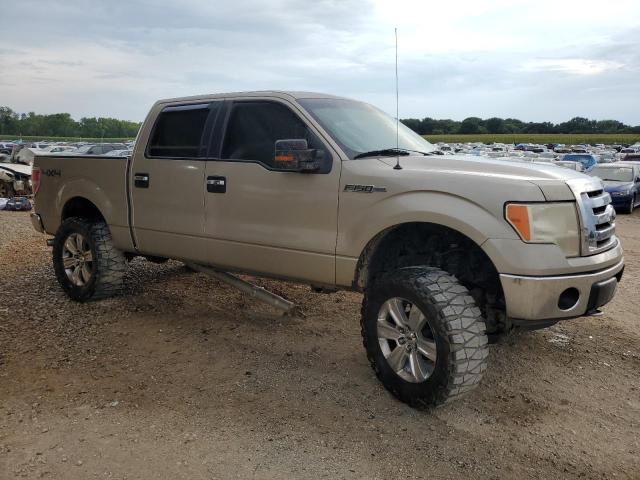 Photo 3 VIN: 1FTPW14V49FA52251 - FORD F-150 