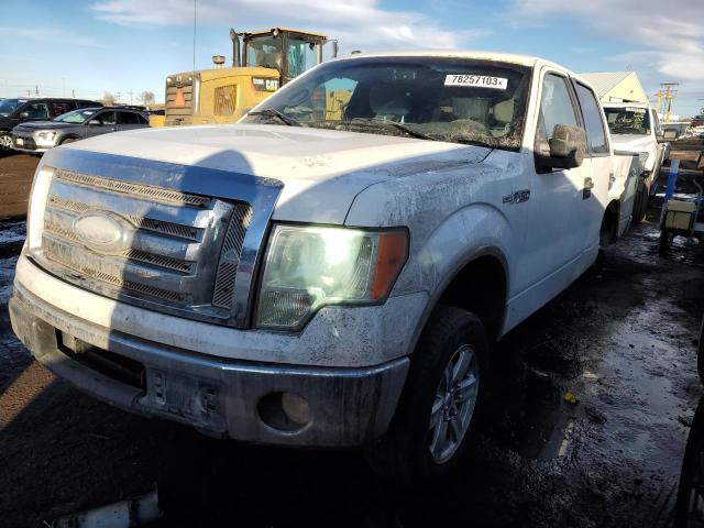 Photo 0 VIN: 1FTPW14V69FA29537 - FORD F-150 