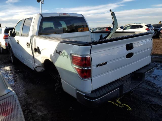 Photo 1 VIN: 1FTPW14V69FA29537 - FORD F-150 