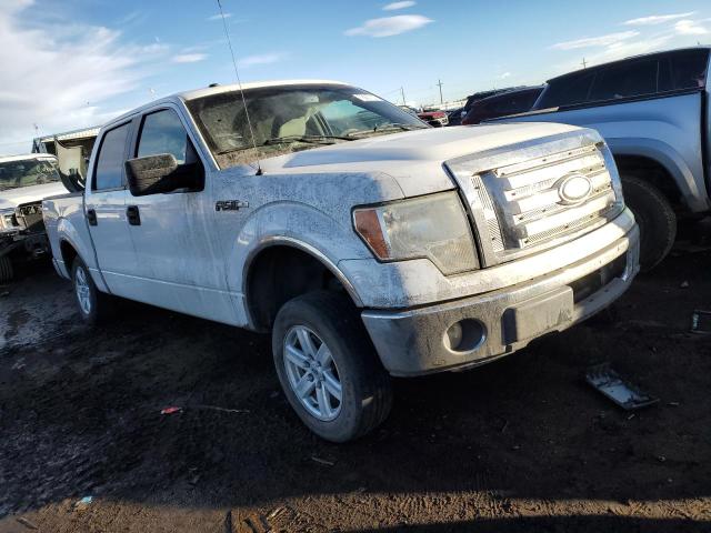 Photo 3 VIN: 1FTPW14V69FA29537 - FORD F-150 